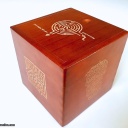 MAZE PUZZLE BOX BANK #3