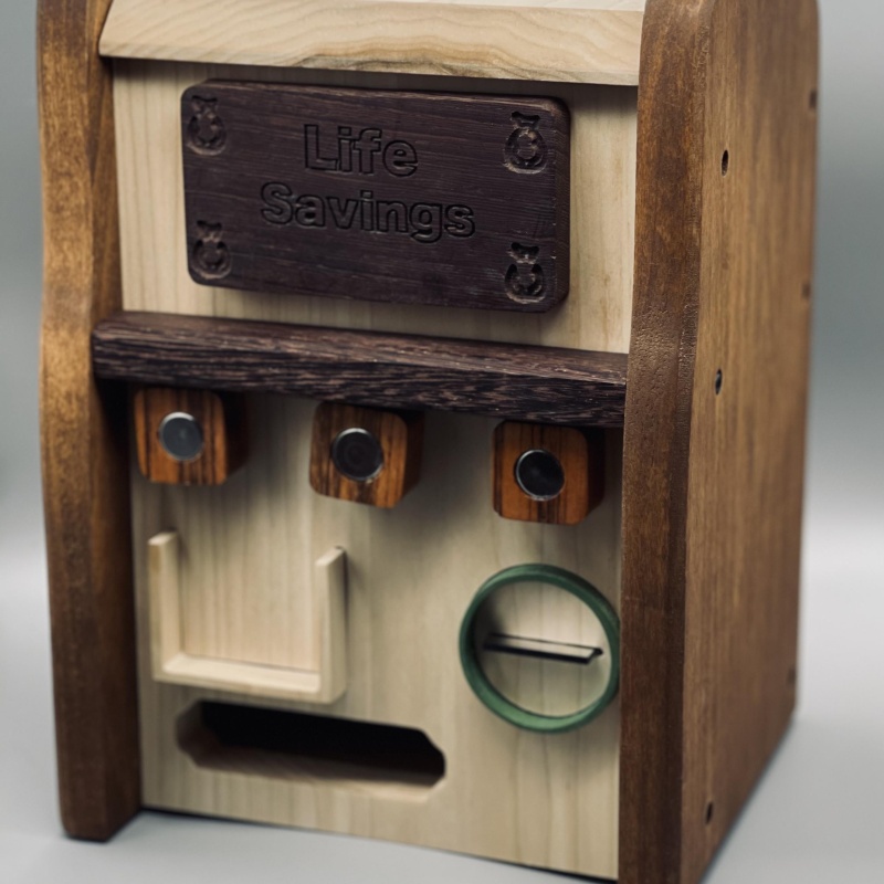 Life Savings by Dan Alterman