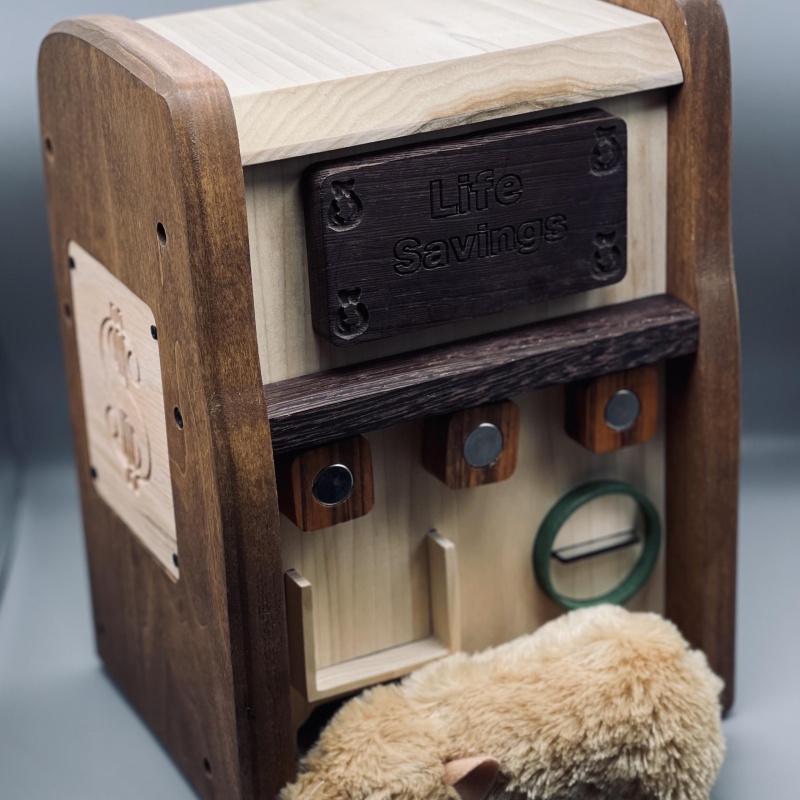 Life Savings by Dan Alterman