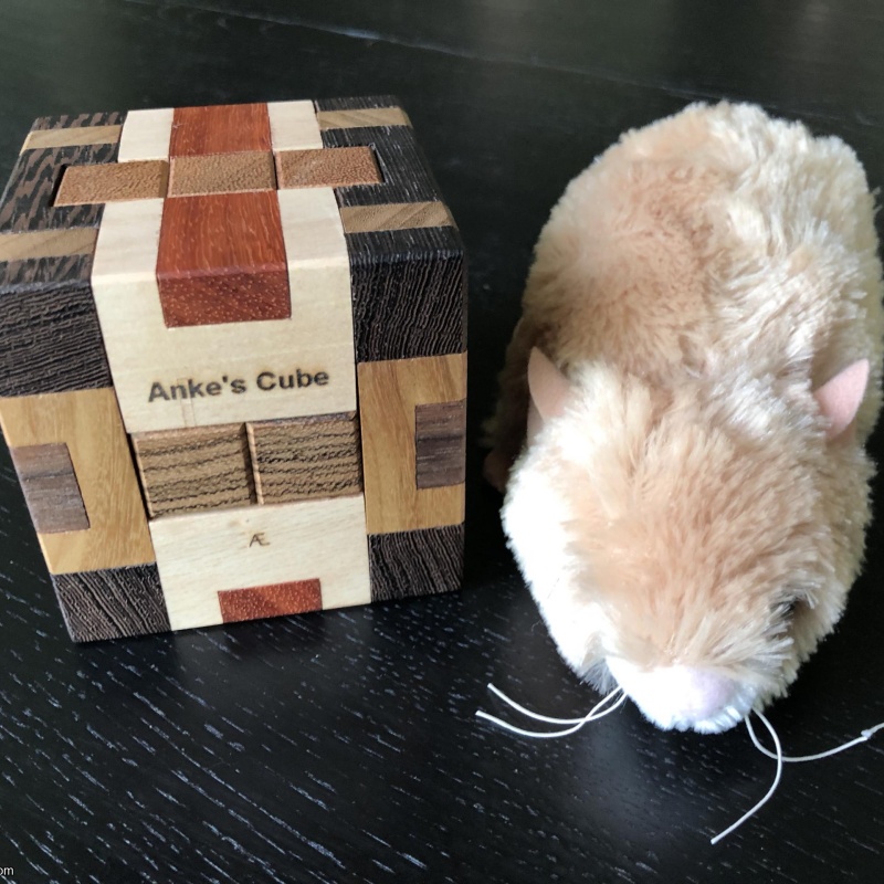 Anke's Cube by Alfons Eyckmnans