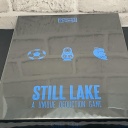 Detective Stories. Case 3 - Still Lake
