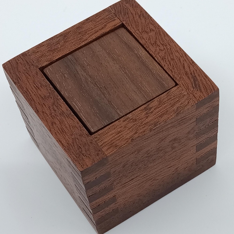 The Clive Box aka One Piece Packing Puzzle