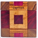 Capricorn