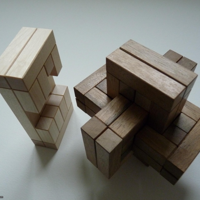 Six Iberian Lynxes (All Iberian Lynxes)