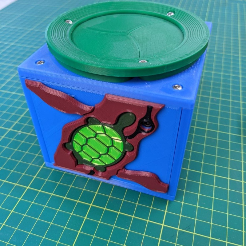 Turtle Trip