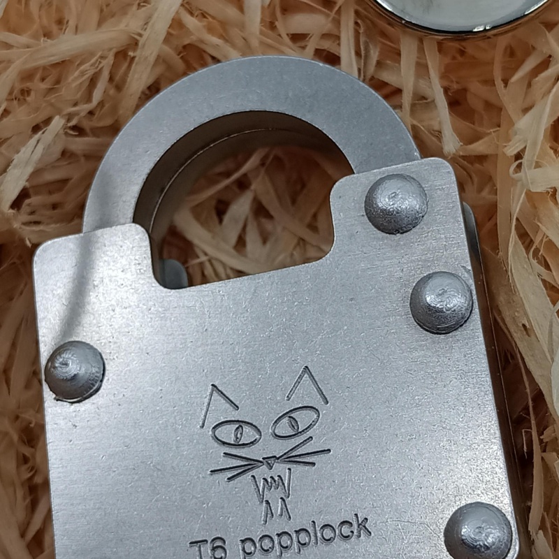 T6 Popplock by Rainer Popp