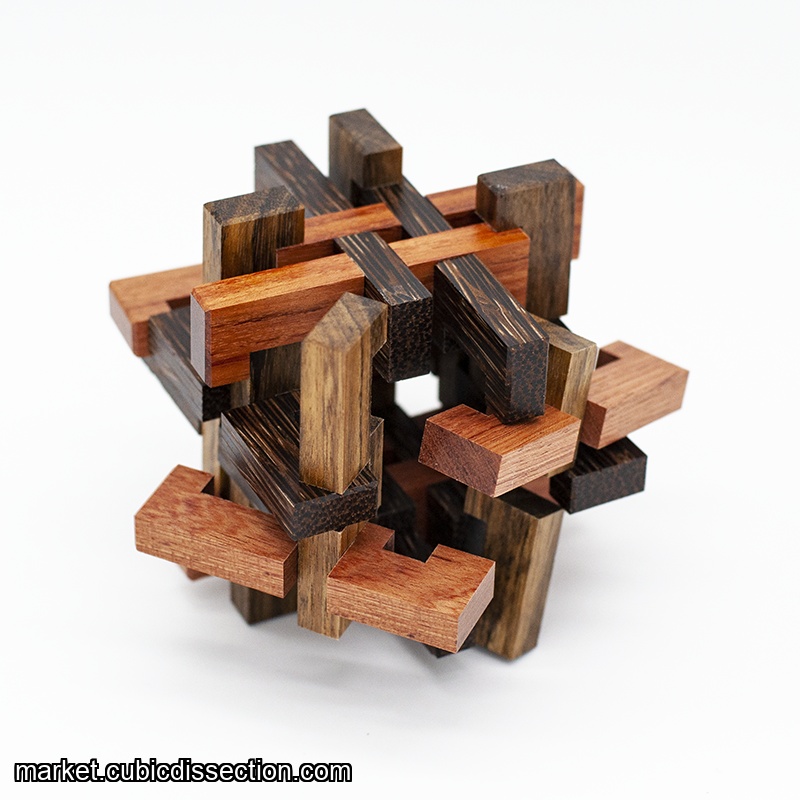 Puzzler's Cage by Junichi Yananose (RPP)