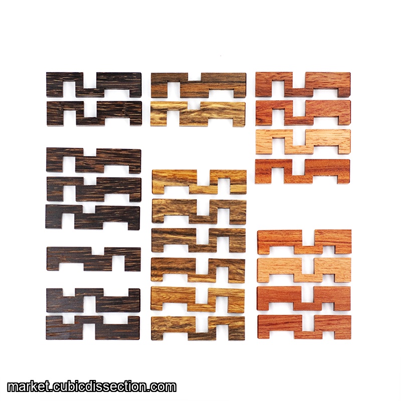 Puzzler's Cage by Junichi Yananose (RPP)