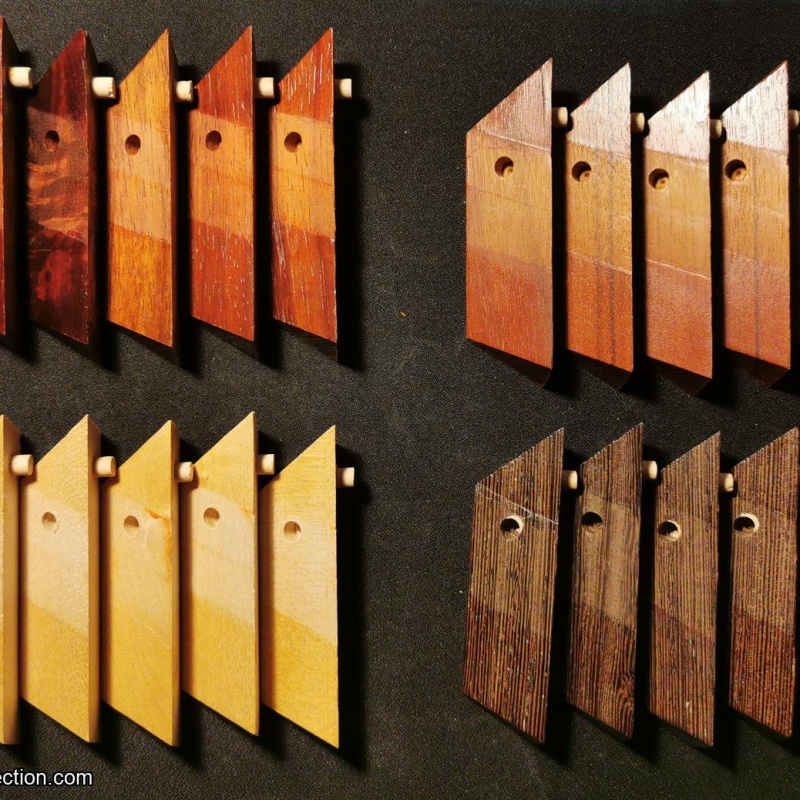 Scorpius by Stewart Coffin