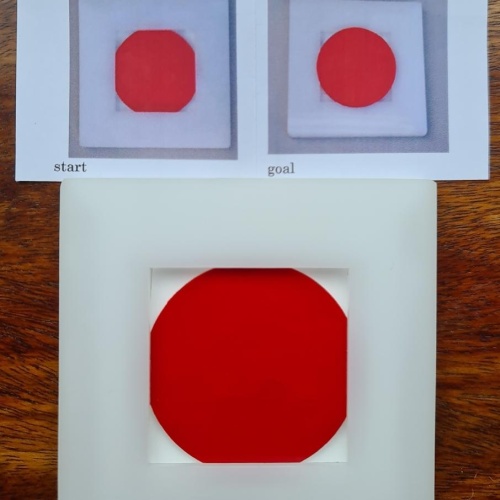 Circle and Square (Japan)