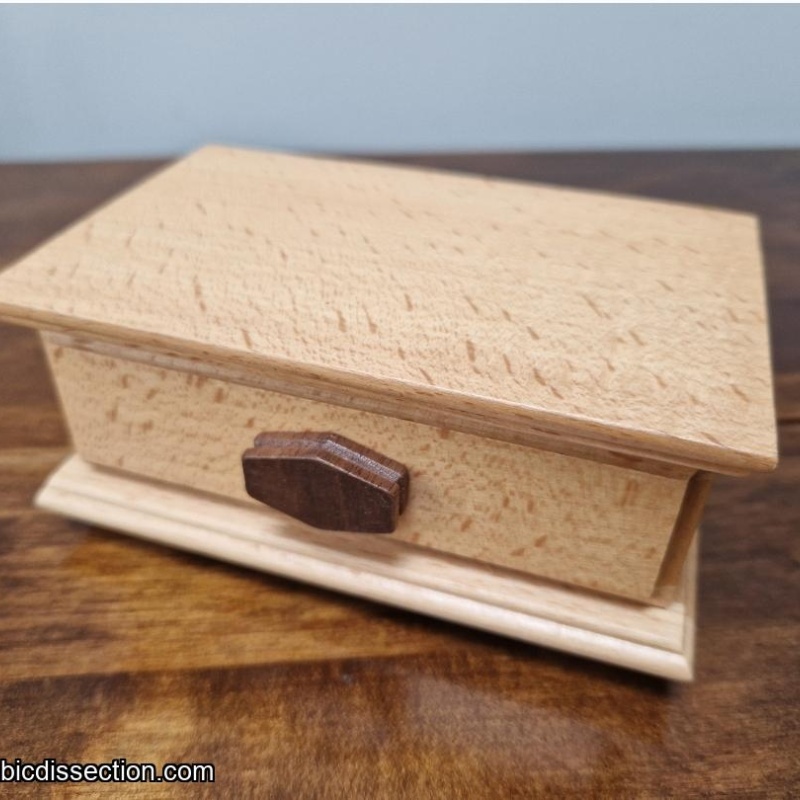 Secret Draw Box