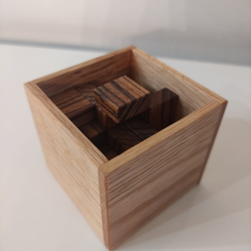 Half Soma by Dr Volker Latussek