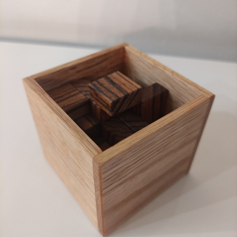 Half Soma by Dr Volker Latussek