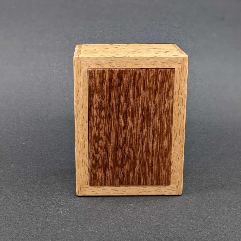 Spirit Box