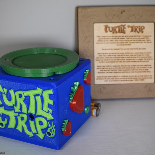 Turtle Trip - Gerard Hudson