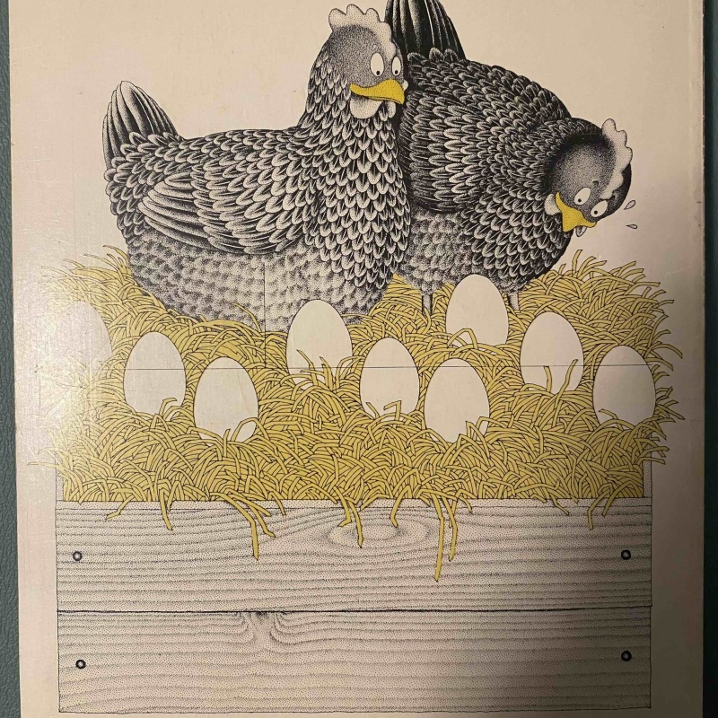 Dutch Puzzle Book by van Delft and Botermans (featuring a BEAUTIFUL vanish puzzle)