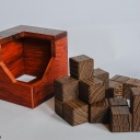 Tulip 1 - Osanori / Pelikan