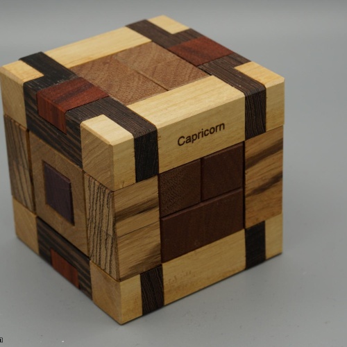 Capricorn - Alfons Eyckmans