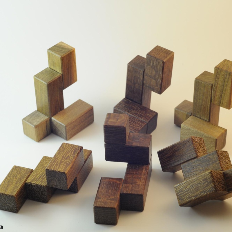 N-Closed by Haym Hirsh in rare woods