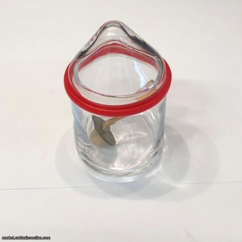 The Original Mysterious Coin - Toyo Glass