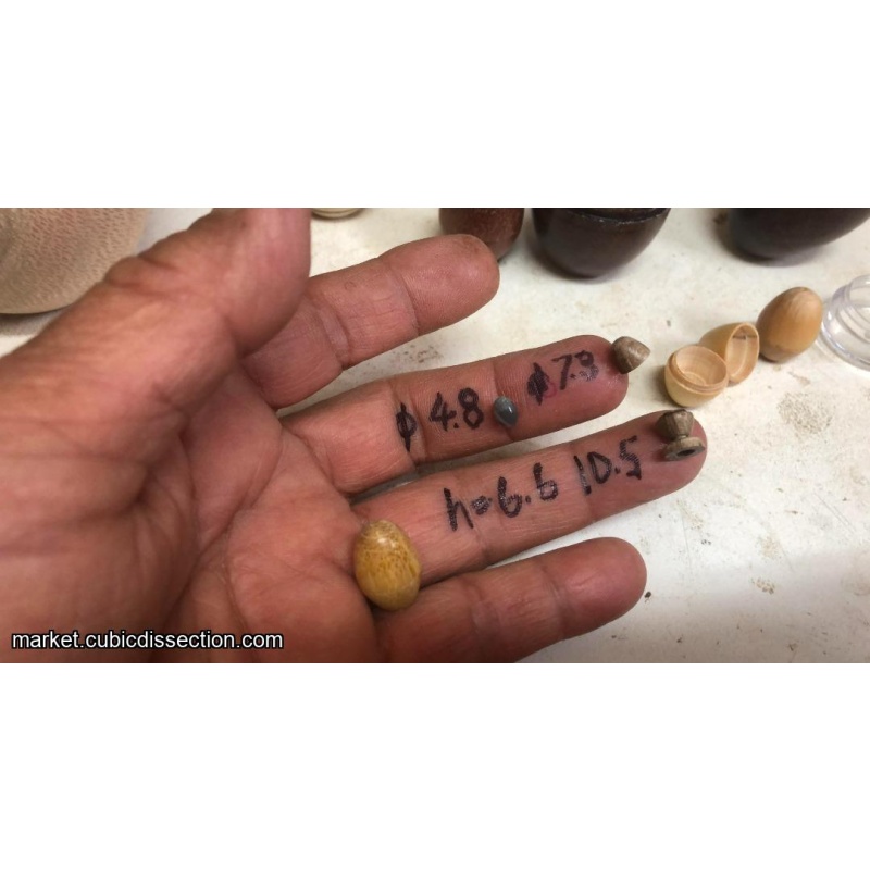 CHINNOMOTTO BABUSHKA 1/2 DOZEN EGGS!