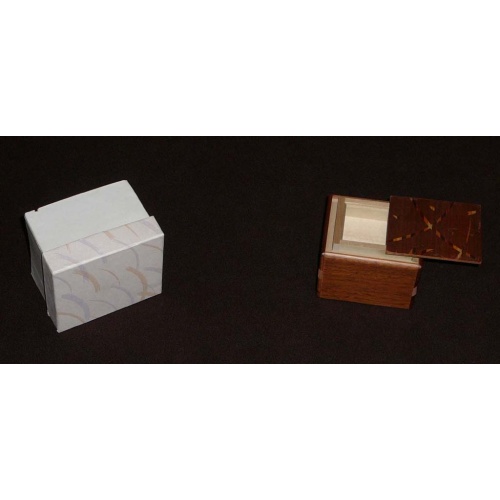 Remake of Ninomiya Pushup by Karakuri maker