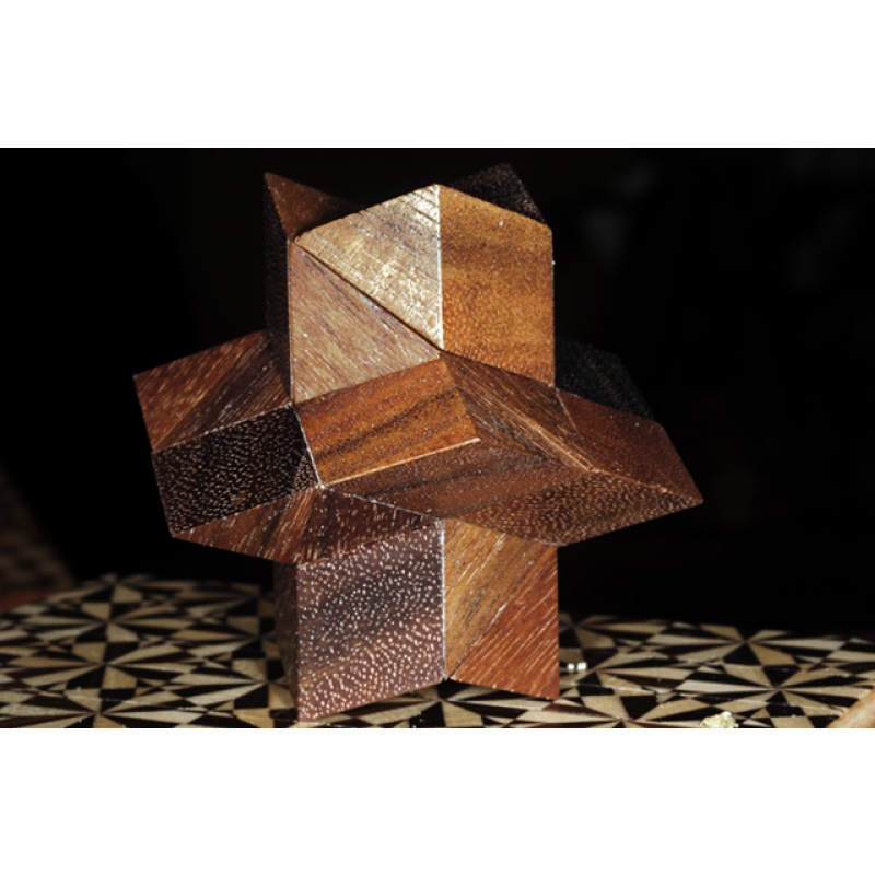 Fusion Confusion - Lee Krasnow