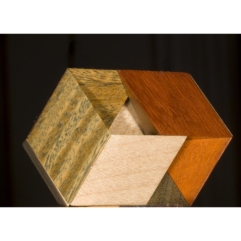 Pennyhedron - Lee Krasnow