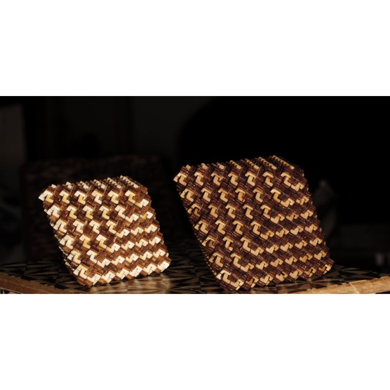 6 and 7 Level Check Puzzle Set - Lee Krasnow