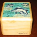 Makishi - 18 Move Challenge box- Dolphin image- Rare by Makishi