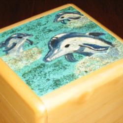 Makishi - 18 Move Challenge box- Dolphin image- Rare by Makishi