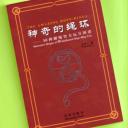 The Amazing Rope-Rings (Chinese Book) by Wang Zong Yi