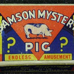   Samson Mystery Pig Mystify your Friends with this Amazing Puzzle  