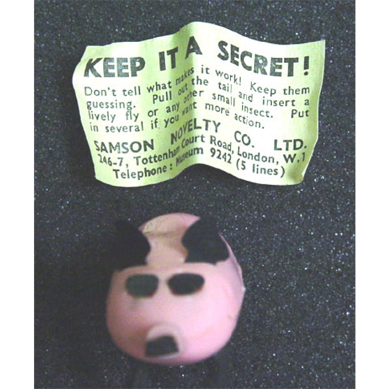 Samson Mystery Pig Mystify your Friends with this Amazing Puzzle