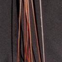 Inside out and Back again