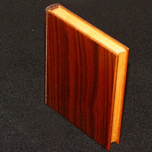 Mini Secret Book Box