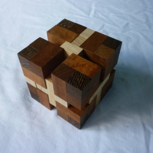 Tease Interlocking Puzzle