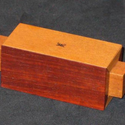 Spider's Secret - Norman Sandfield