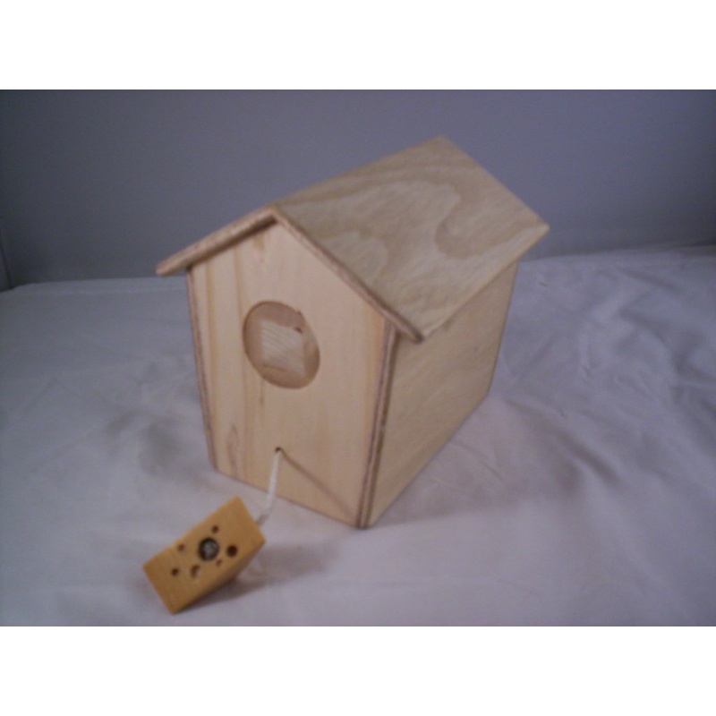 The Mouse House #1