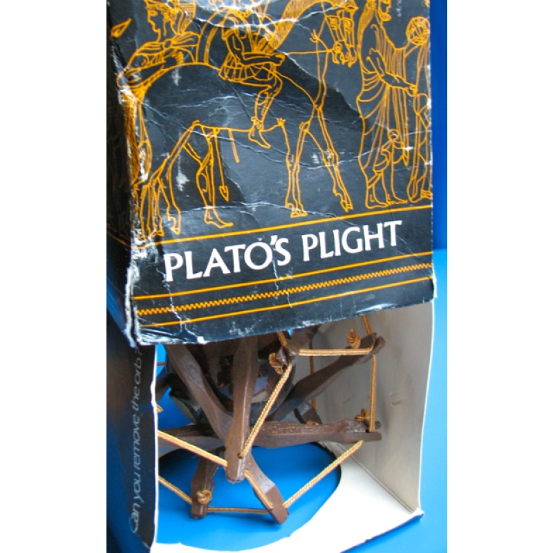 Plato's Plight