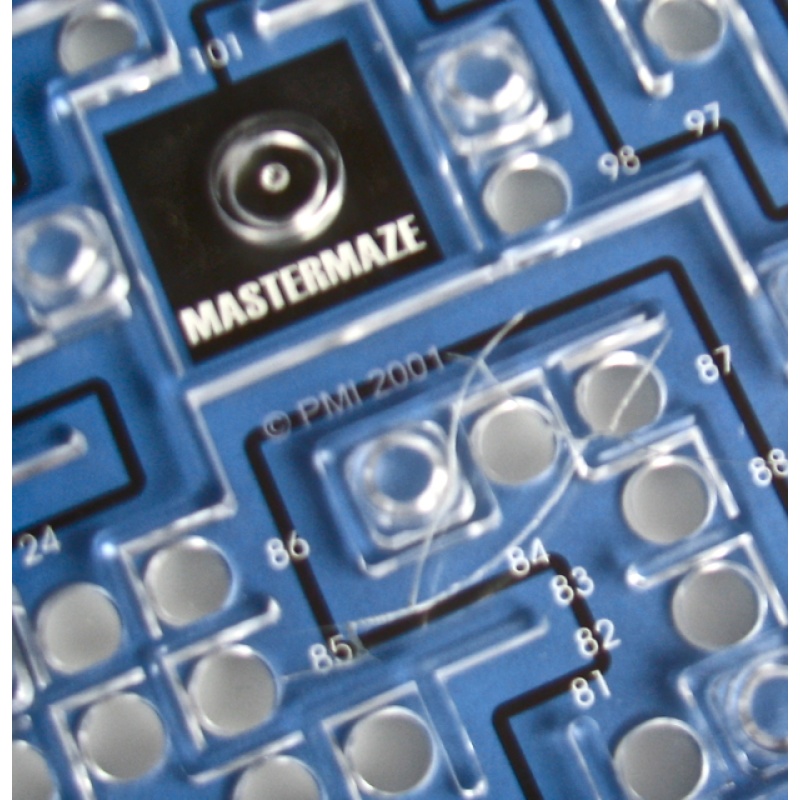 Debenhams Master Maze