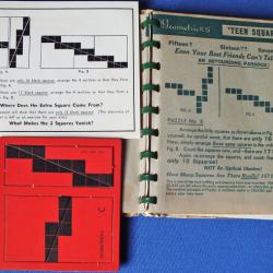 Geometricks -- an Album of Puzzles