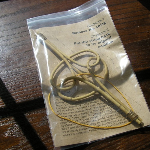 Jungle Puzzle, 2009 exchange