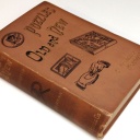 Hoffmann Puzzles Old and New 1893