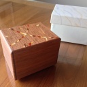 Push Down Box (12 Moves) CS-7-3 Designed by Hiroshi Iwahara