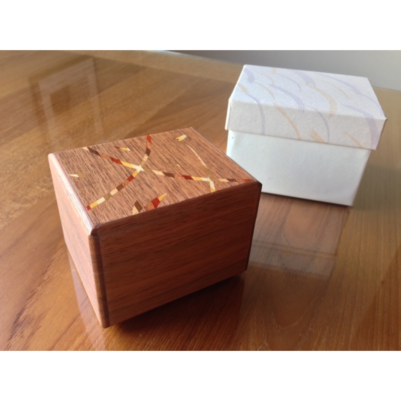 Push Down Box (12 Moves) CS-7-3 Designed by Hiroshi Iwahara