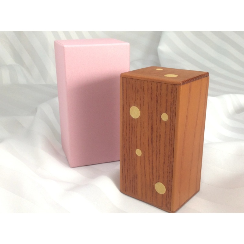 SLIGHTLY STRANGE 4 STEPS SECRET BOX
