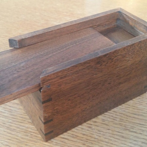 Exotic Singmaster Packing Puzzle