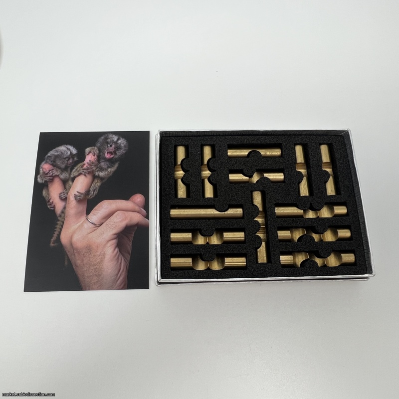 Marmoset by Two Brass Monkeys