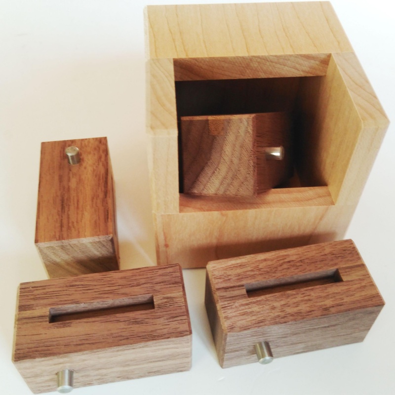 Pin Block Case